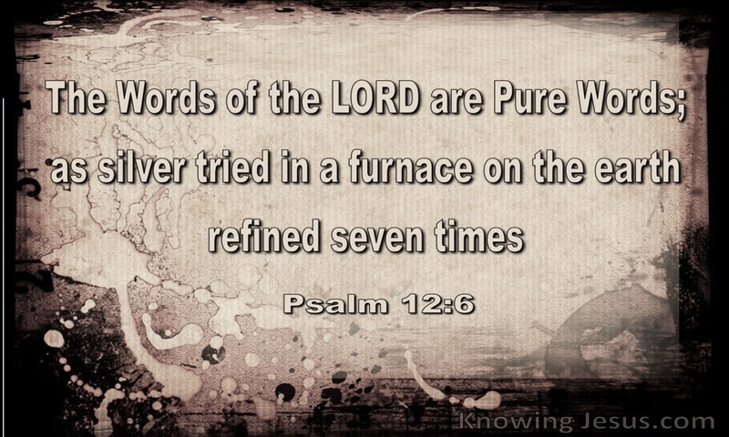 Psalm 12:6 The Words Of The Lord Are Pure (gray)